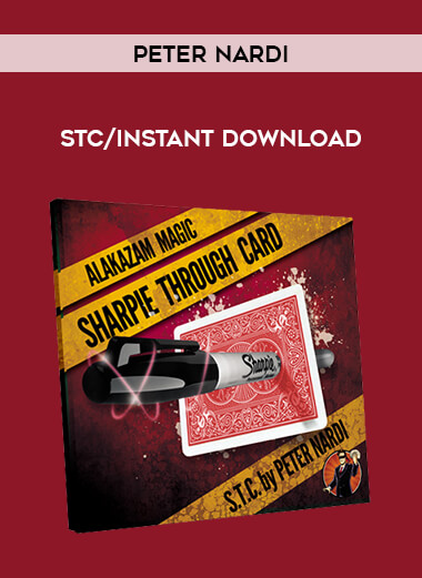 Peter Nardi - STC/instant download from https://illedu.com