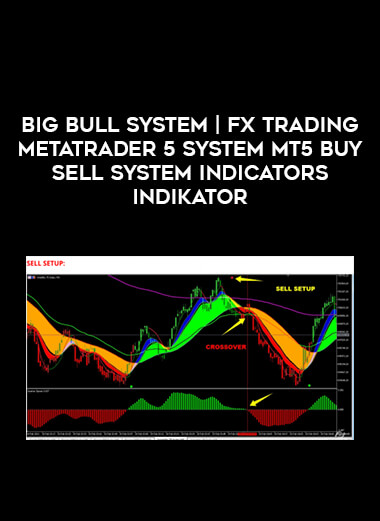 BIG BULL SYSTEM | Fx Trading MetaTrader 5 System MT5 Buy Sell System Indicators INDIKATOR from https://illedu.com