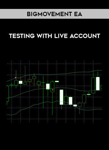BigMovement EA - Testing with live account from https://illedu.com
