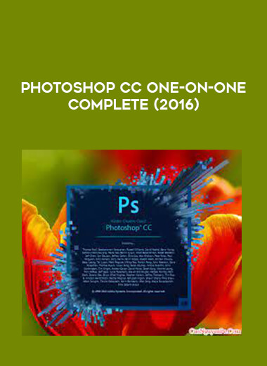 Photoshop CC One-on-One Complete (2016) from https://illedu.com